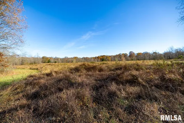 $1,273,095 | 0 Route 1 Highway, Cave In Rock, IL 62919