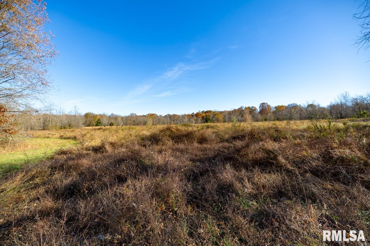 0 Route 1 Highway Cave In Rock, IL 62919 - Photo 59 of 69