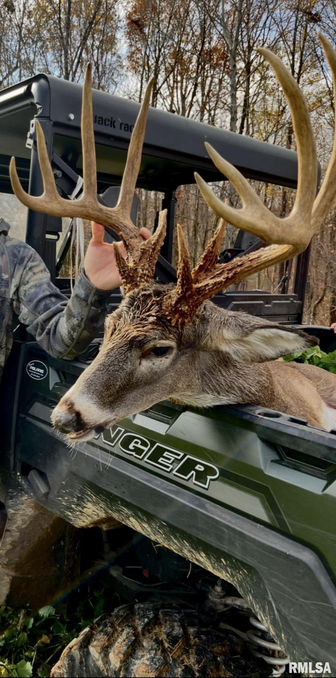 0 Route 1 Highway Cave In Rock, IL 62919 - Photo 6 of 69