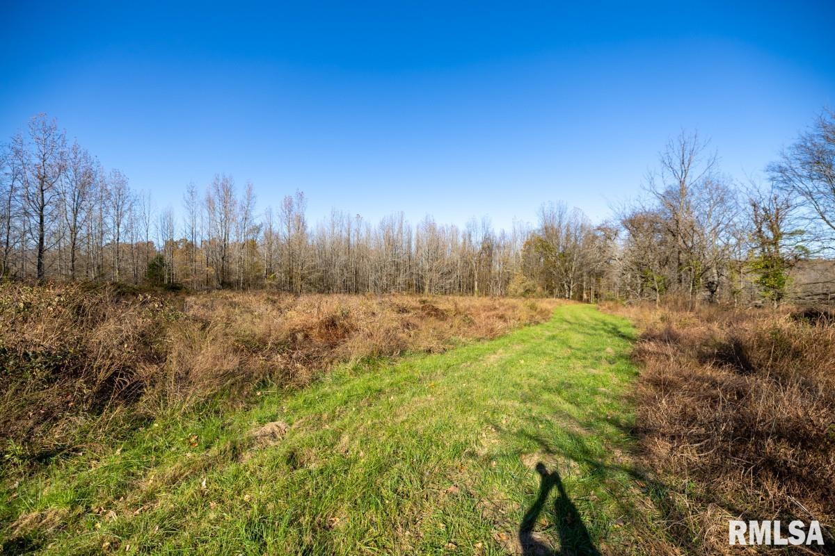 0 Route 1 Highway Cave In Rock, IL 62919 - Photo 61 of 69