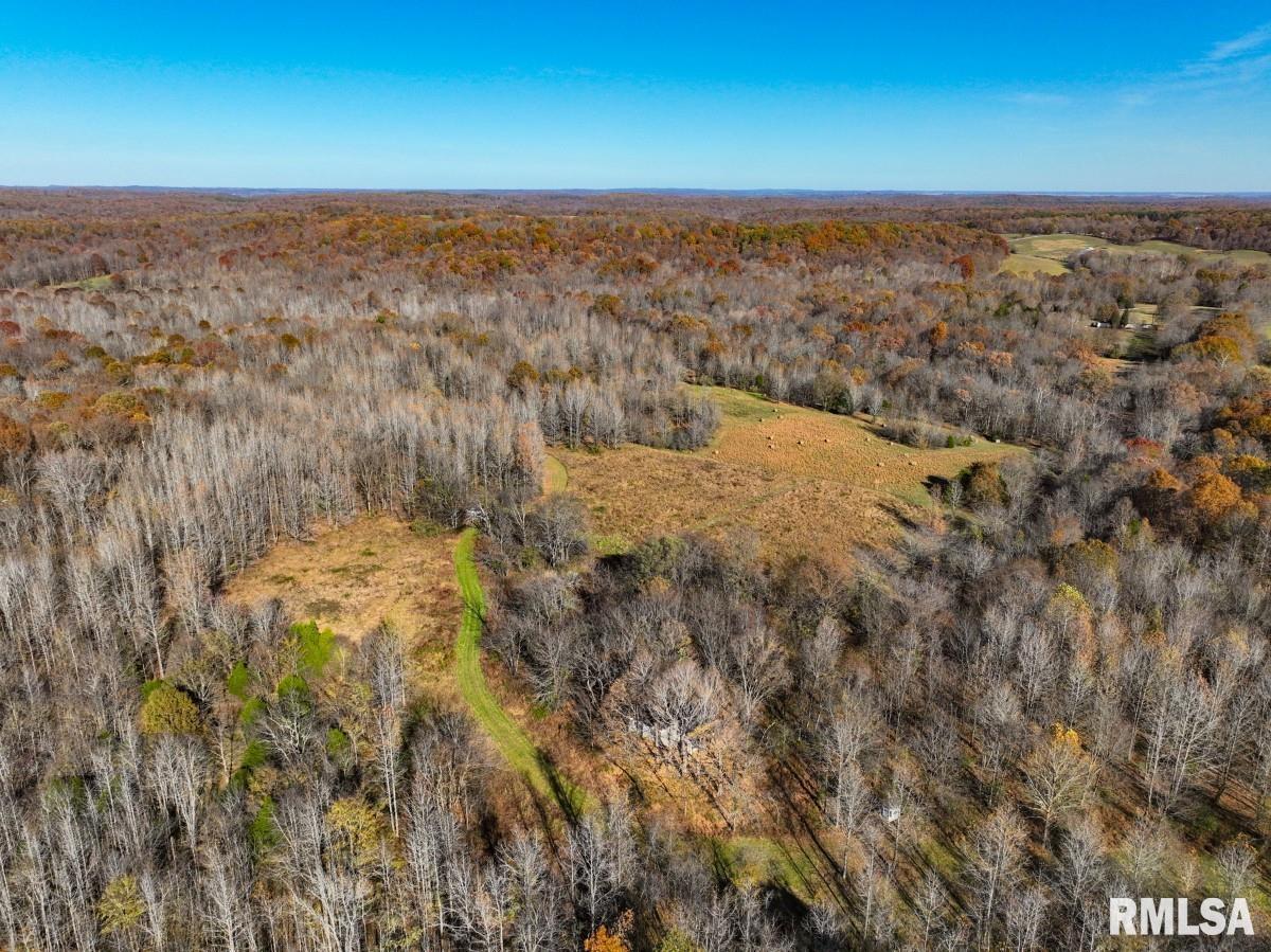 0 Route 1 Highway Cave In Rock, IL 62919 - Photo 62 of 69