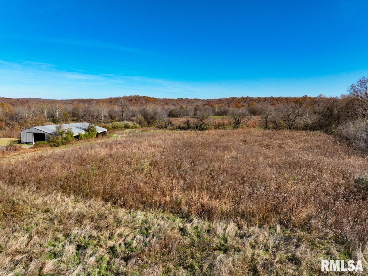 0 Route 1 Highway Cave In Rock, IL 62919 - Photo 67 of 69