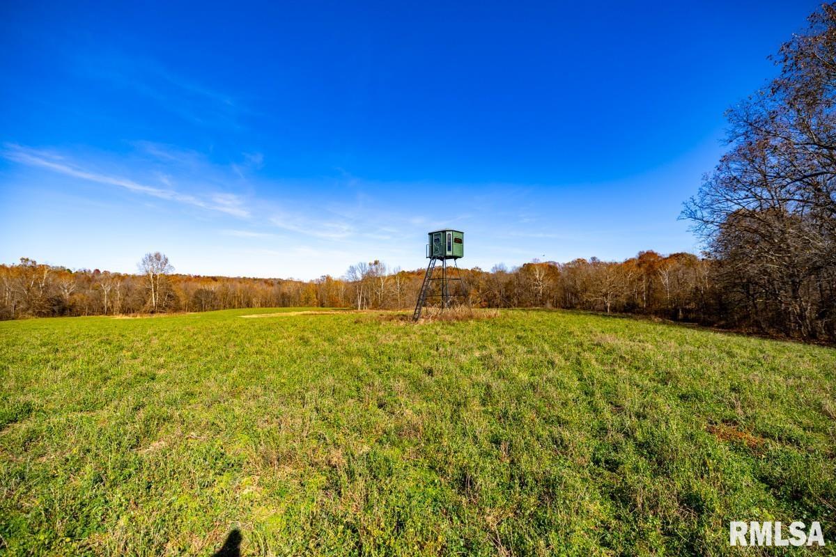 0 Route 1 Highway Cave In Rock, IL 62919 - Photo 7 of 69