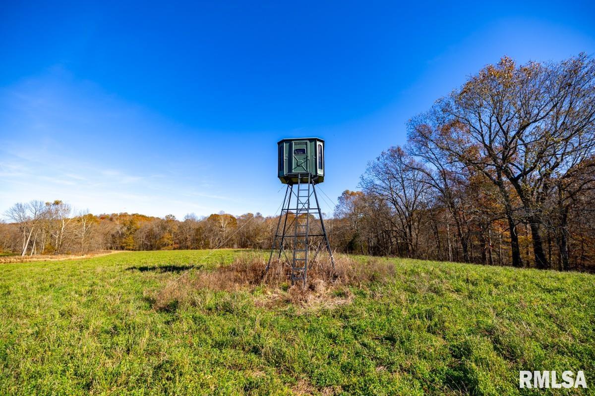 0 Route 1 Highway Cave In Rock, IL 62919 - Photo 8 of 69