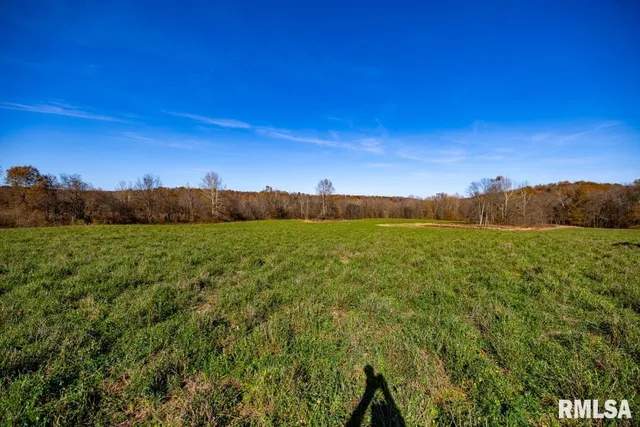 $1,273,095 | 0 Route 1 Highway, Cave In Rock, IL 62919