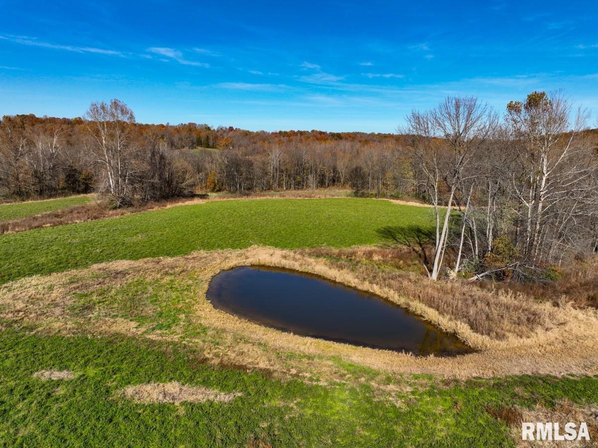 0 Route 1 Highway Cave In Rock, IL 62919 - Photo 10 of 69