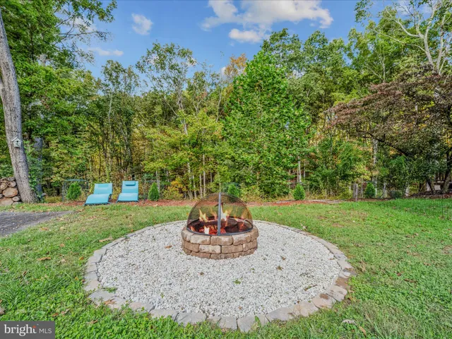 a view of a backyard with large trees