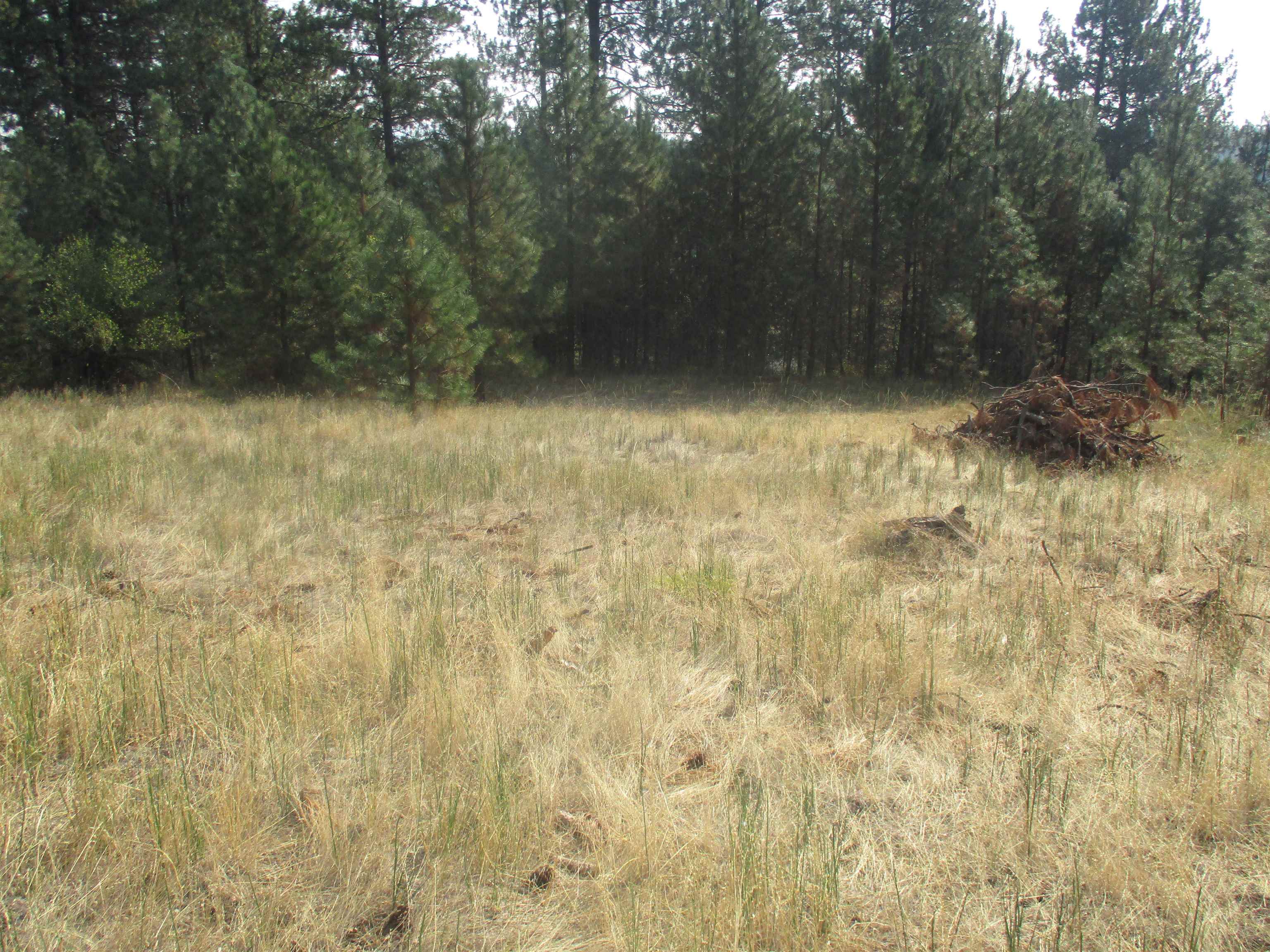 Unassigned Unassigned Unassigned Address Xx River Estates Road Road Chattaroy, WA 99003 - Photo 2 of 6