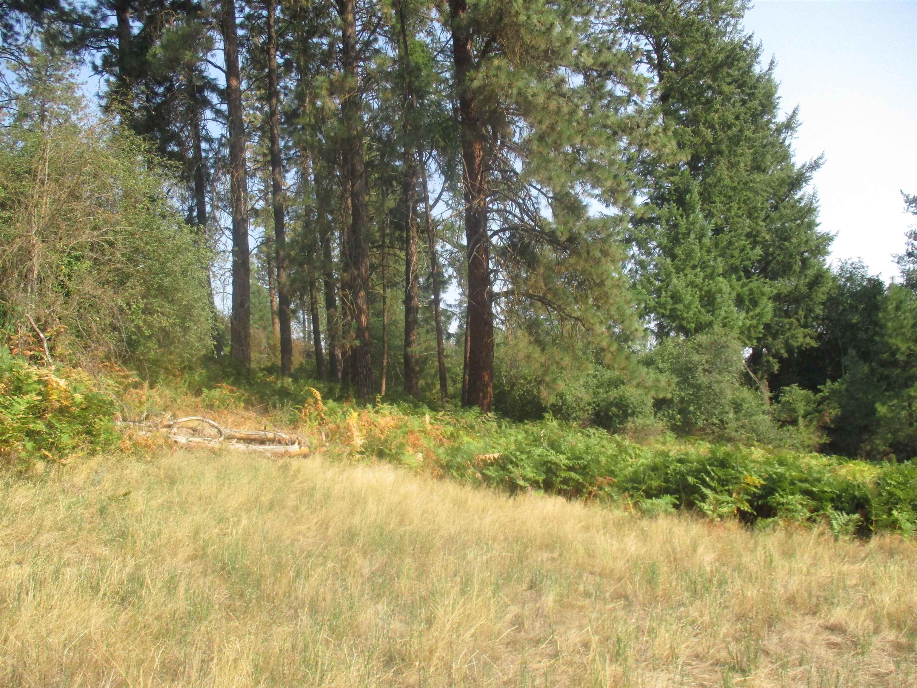 Unassigned Unassigned Unassigned Address Xx River Estates Road Road Chattaroy, WA 99003 - Photo 3 of 6