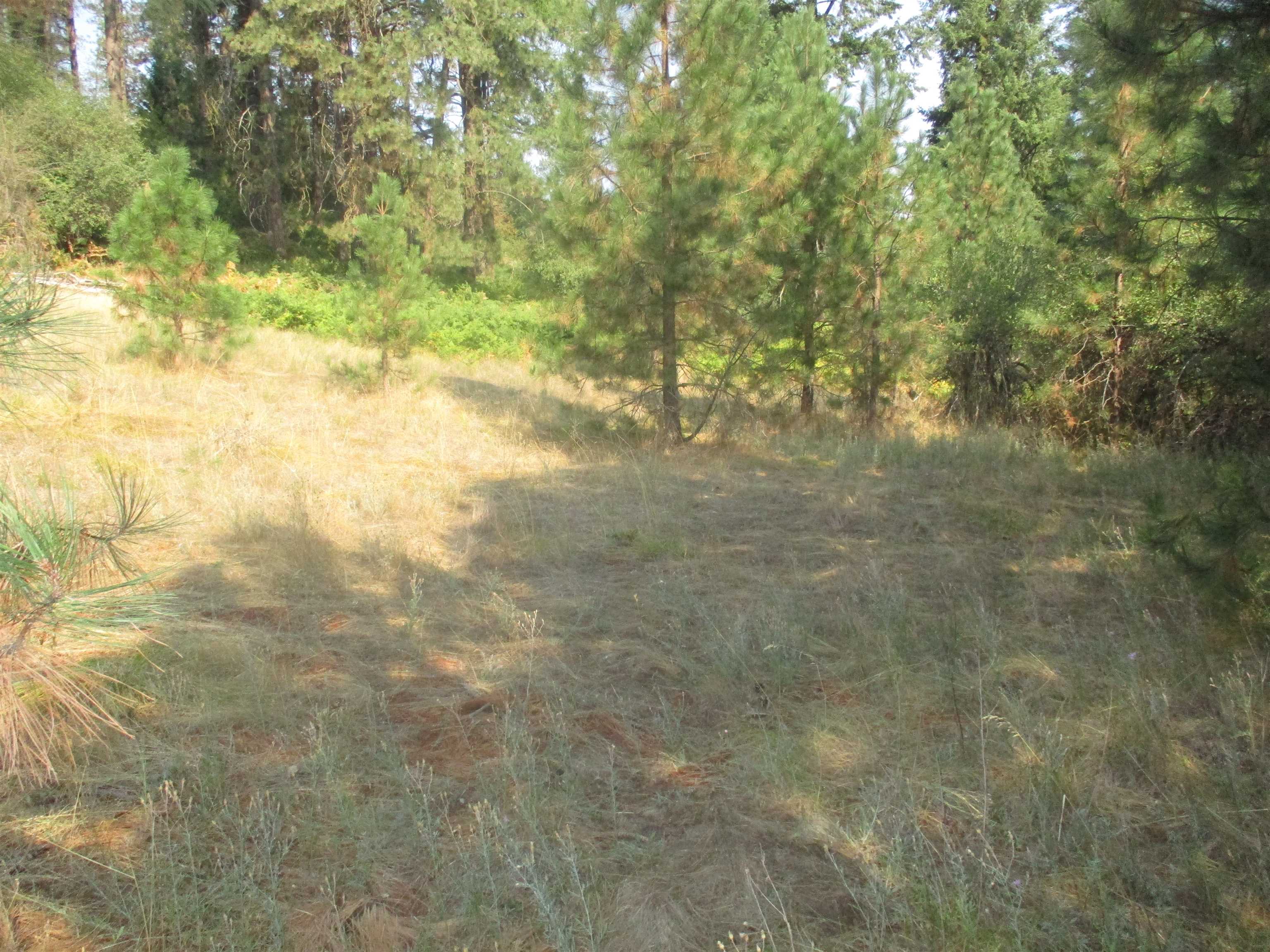 Unassigned Unassigned Unassigned Address Xx River Estates Road Road Chattaroy, WA 99003 - Photo 5 of 6