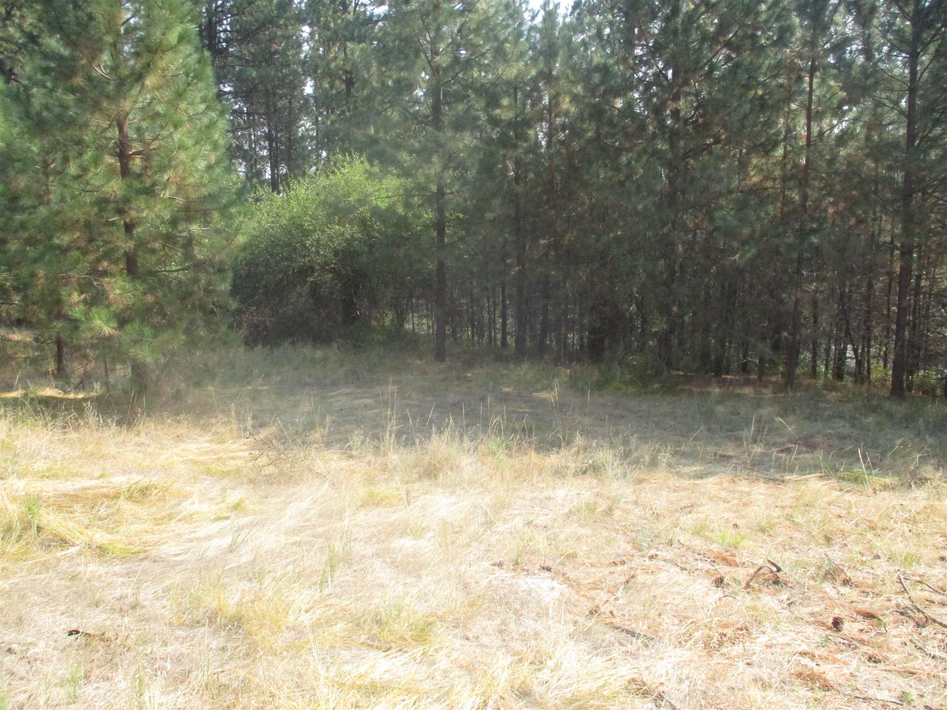 Unassigned Unassigned Unassigned Address Xx River Estates Road Road Chattaroy, WA 99003 - Photo 6 of 6