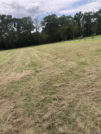 $58,900 | 8736 Patterson Cemetery Lane, Slaughter, LA 70777