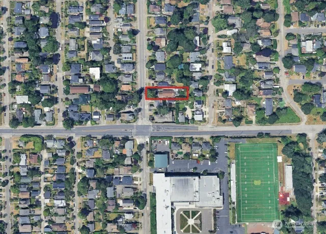 a view of a backyard with plants and large trees