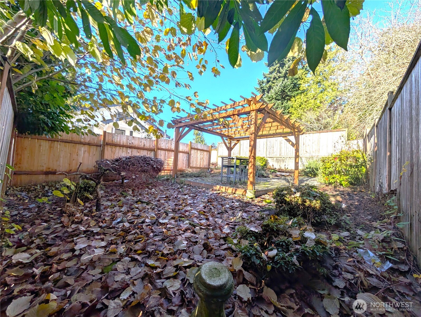 8516 Wallingford Avenue North, Unit B Seattle, WA 98103 - Photo 2 of 5 a view of a backyard with plants and large trees