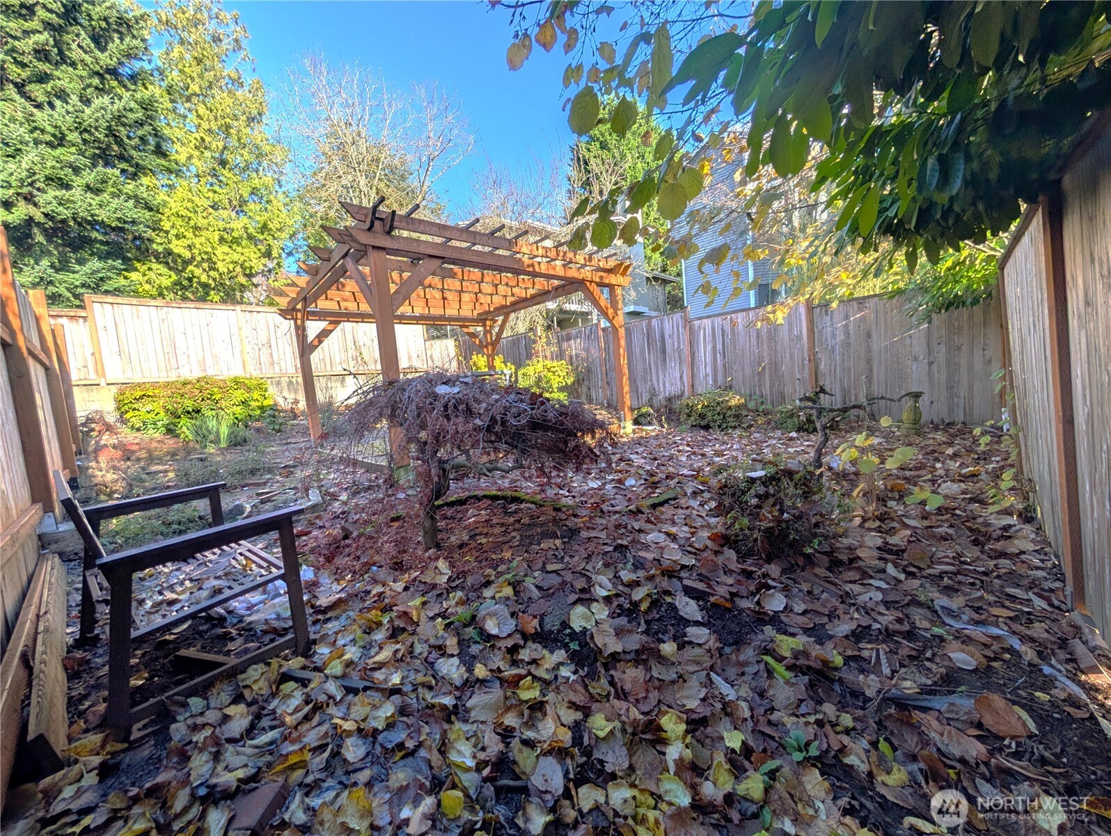 8516 Wallingford Avenue North, Unit B Seattle, WA 98103 - Photo 4 of 5 a view of a backyard with a tree