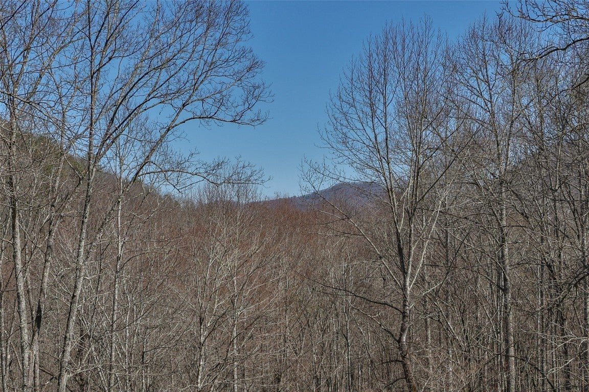 3398 Cullowhee Forest Road Cullowhee, NC 28723 - Photo 37 of 100 Winter view