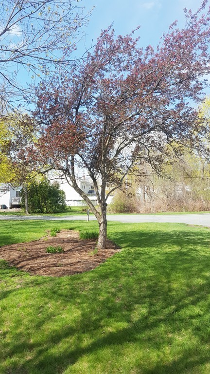 83 R Hobart Street, Unit A5 Danvers, MA 01923 - Photo 8 of 9 Gallery Image 8