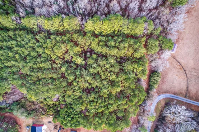 a view of a garden with a tree