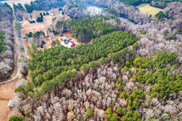 a view of a garden with a pathway