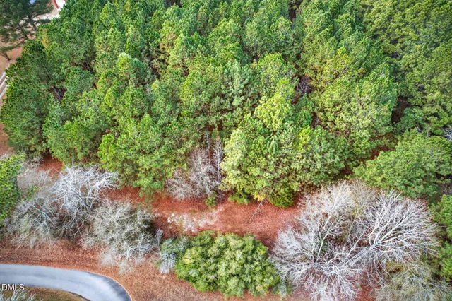 a picture of flowers