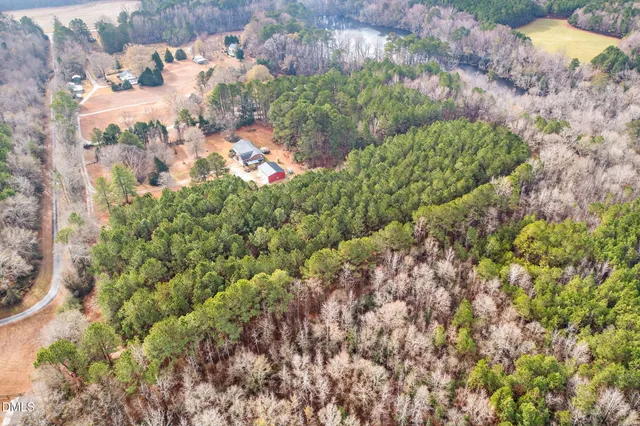a bunch of flowers in a garden
