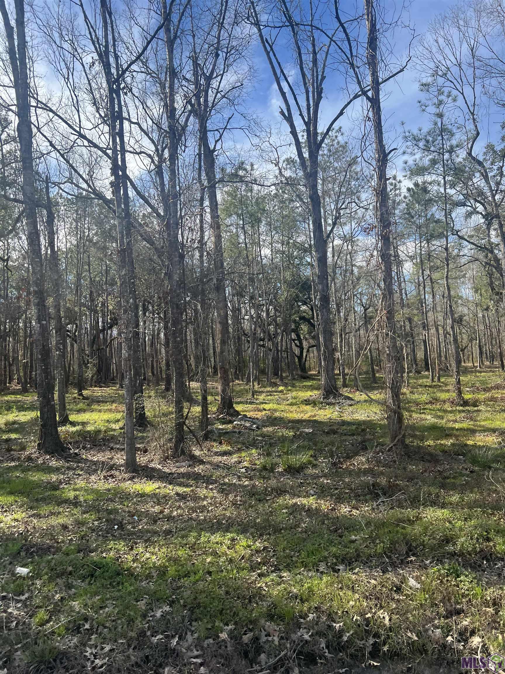 Wc-7 Coats Road Springfield, LA 70462 - Photo 1 of 4