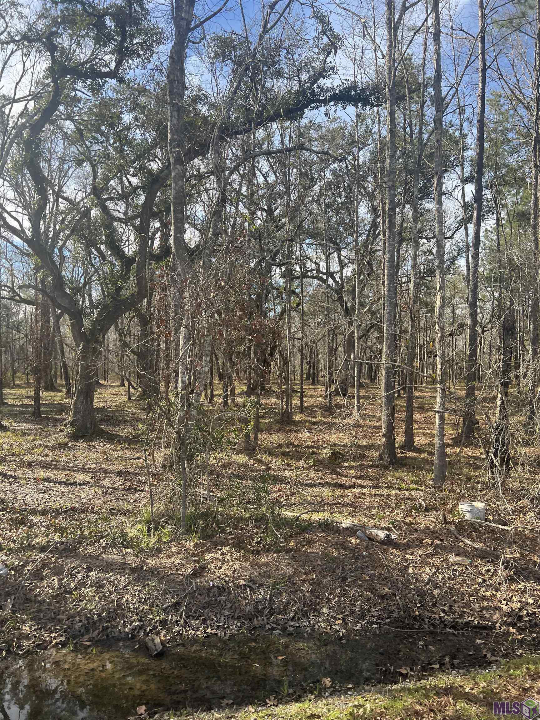 Wc-7 Coats Road Springfield, LA 70462 - Photo 2 of 4