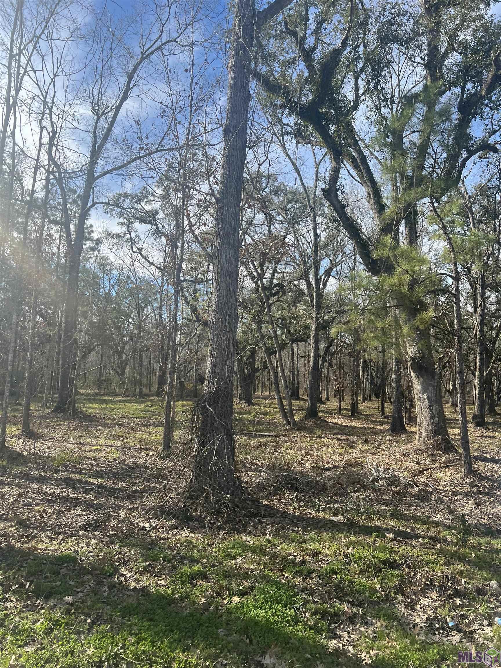 Wc-7 Coats Road Springfield, LA 70462 - Photo 3 of 4