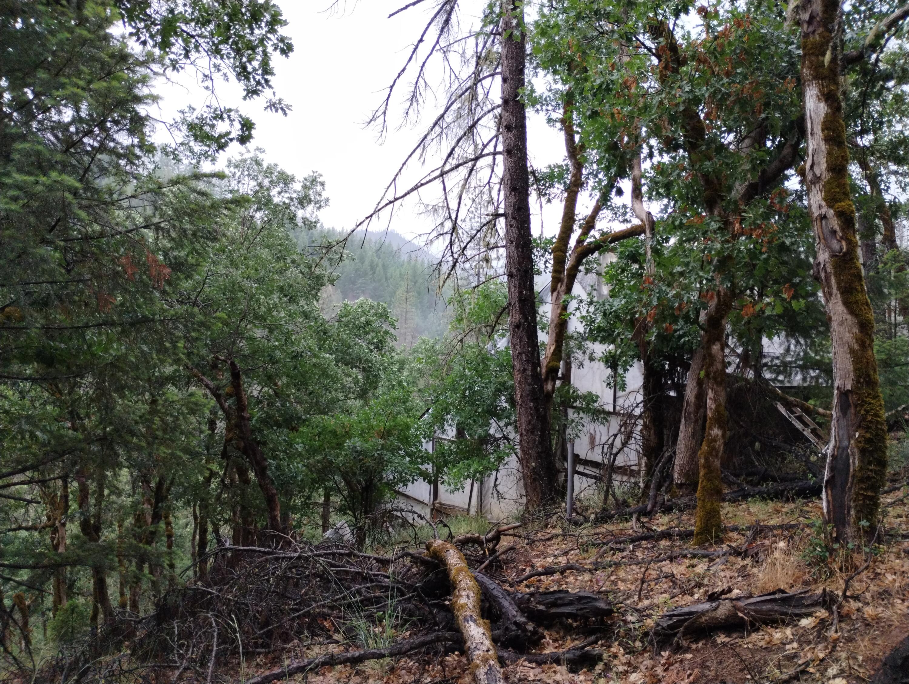 15147 Highway 3 Hayfork, CA 96041 - Photo 19 of 29 1 (116)