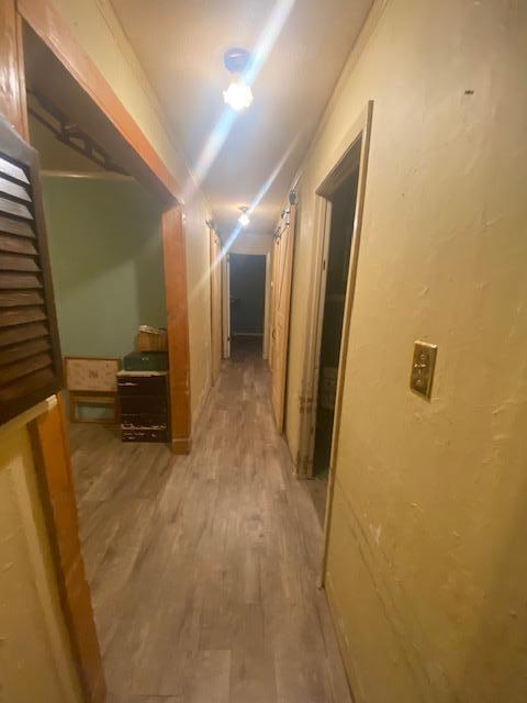 271 Walnut Street Spring City, TN 37381 - Photo 8 of 18 IMG_3043