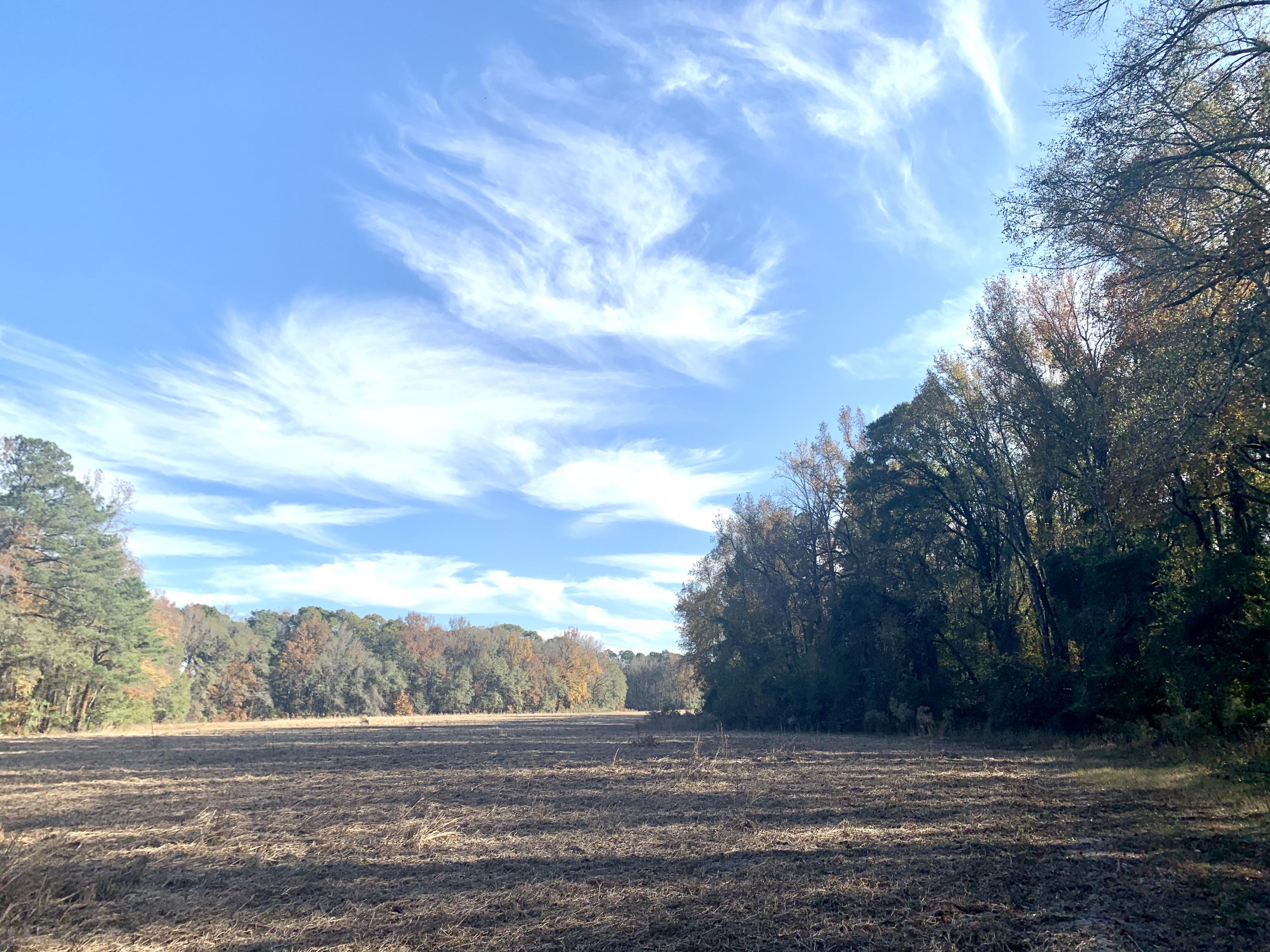 1 Miles Road Cope, SC 29038 - Photo 1 of 42 606D79D5-E224-41A9-85A6-BCA2AACD9763