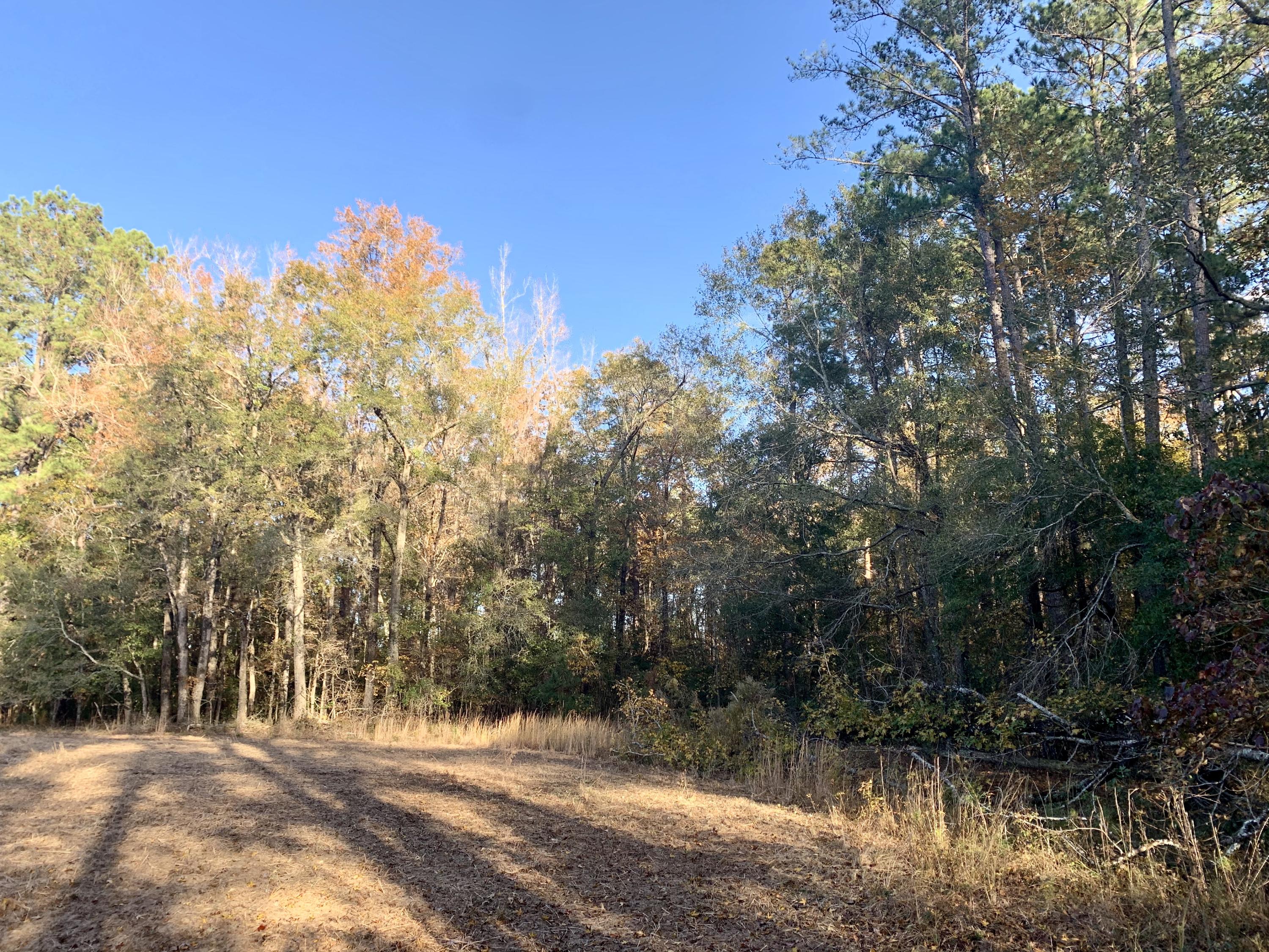1 Miles Road Cope, SC 29038 - Photo 13 of 42 0531B39E-54D1-468A-886C-2D755559355D