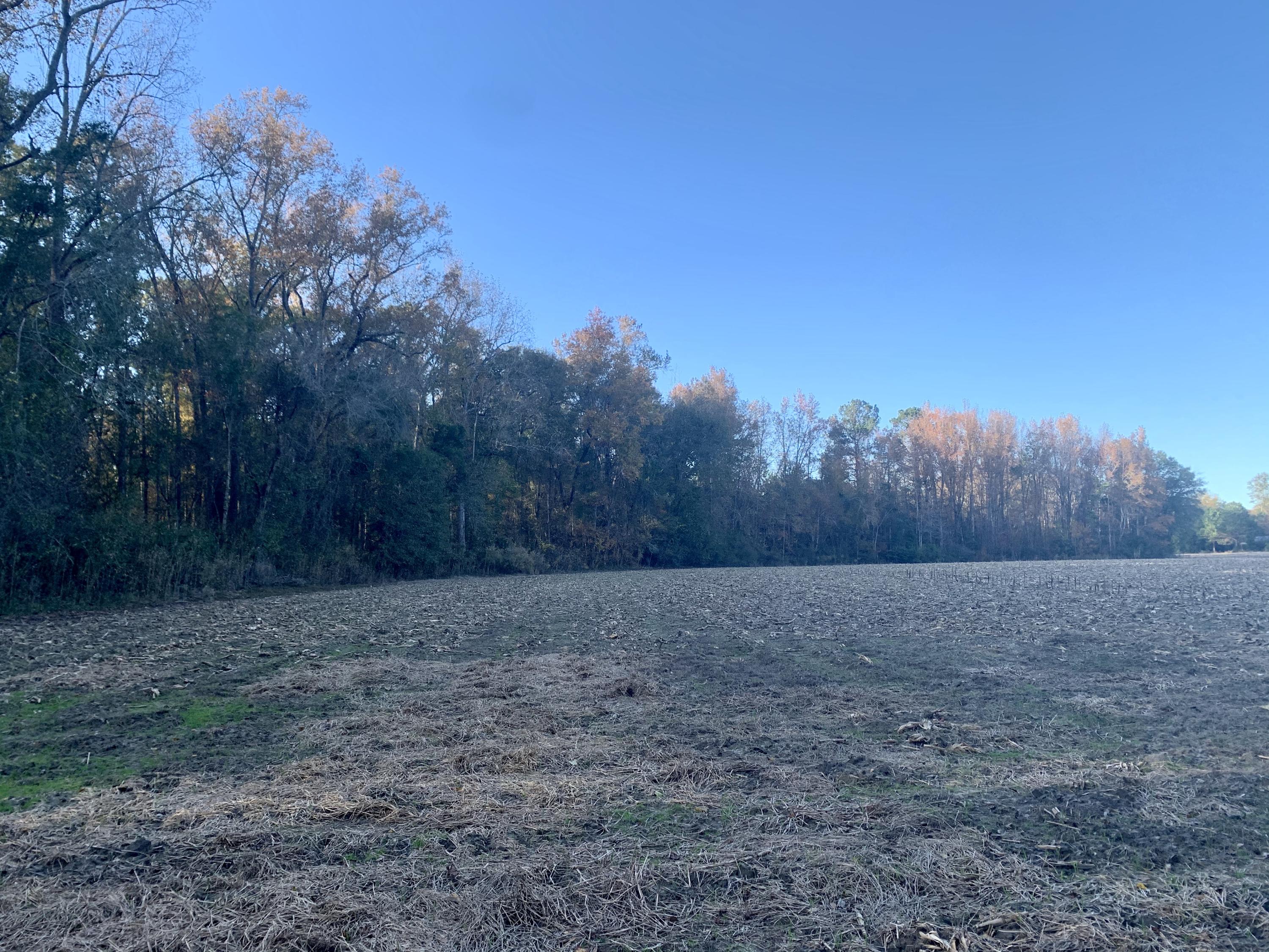 1 Miles Road Cope, SC 29038 - Photo 26 of 42 AC425006-EBCB-46E1-80D4-131CC6BE9929