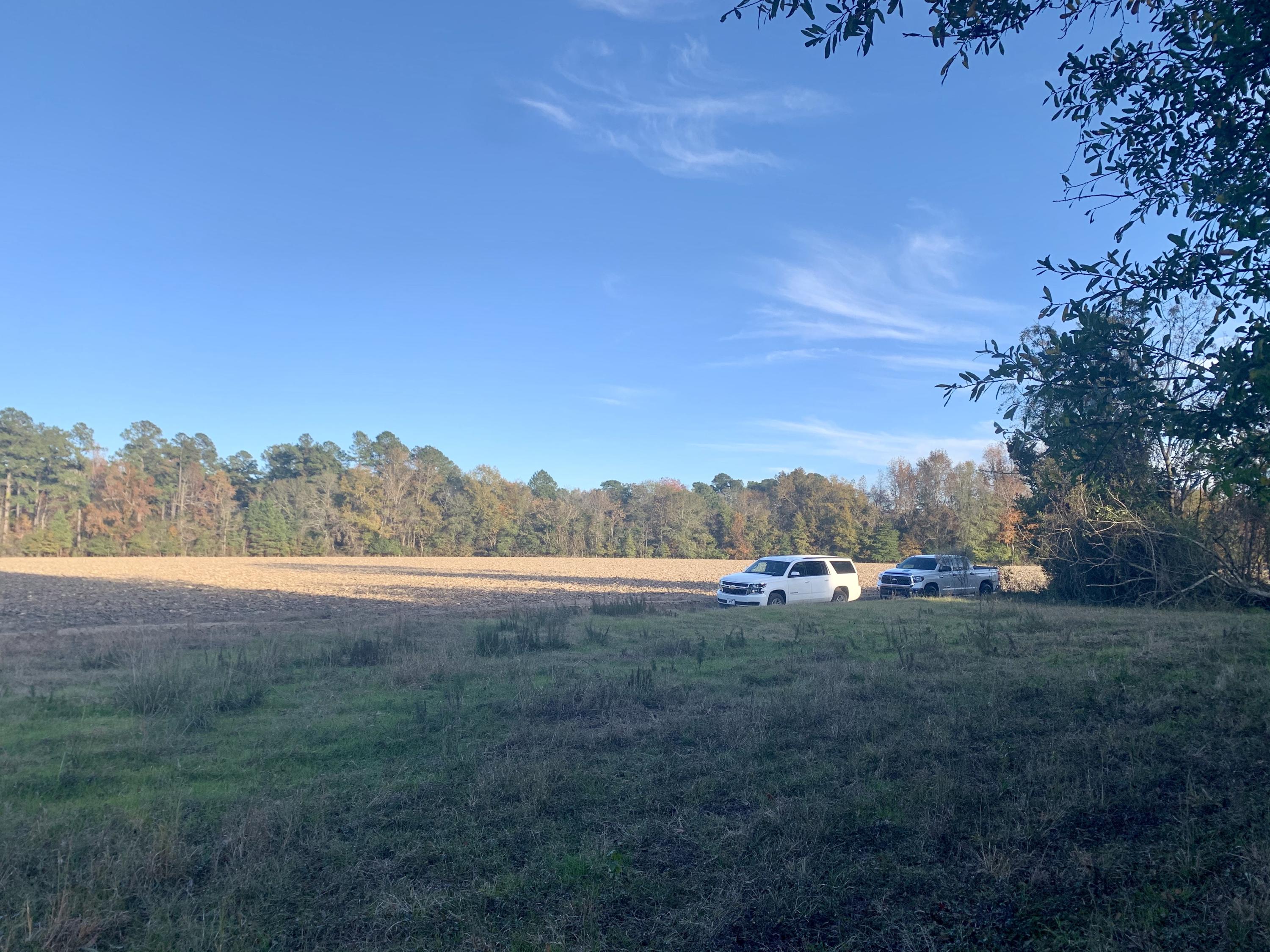 1 Miles Road Cope, SC 29038 - Photo 34 of 42 D8D9E50A-6582-45C3-86EB-3A53BBBA4E1D