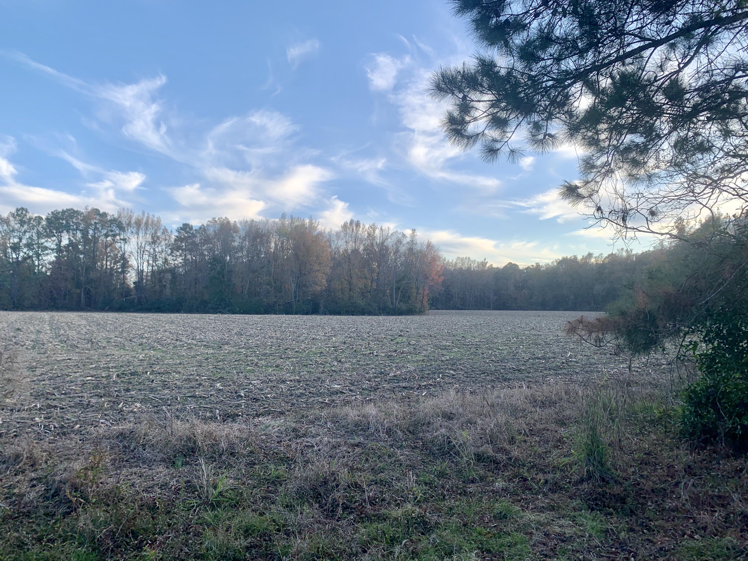 1 Miles Road Cope, SC 29038 - Photo 36 of 42 C51F0161-370C-4FA8-8940-C6AC12B553FD