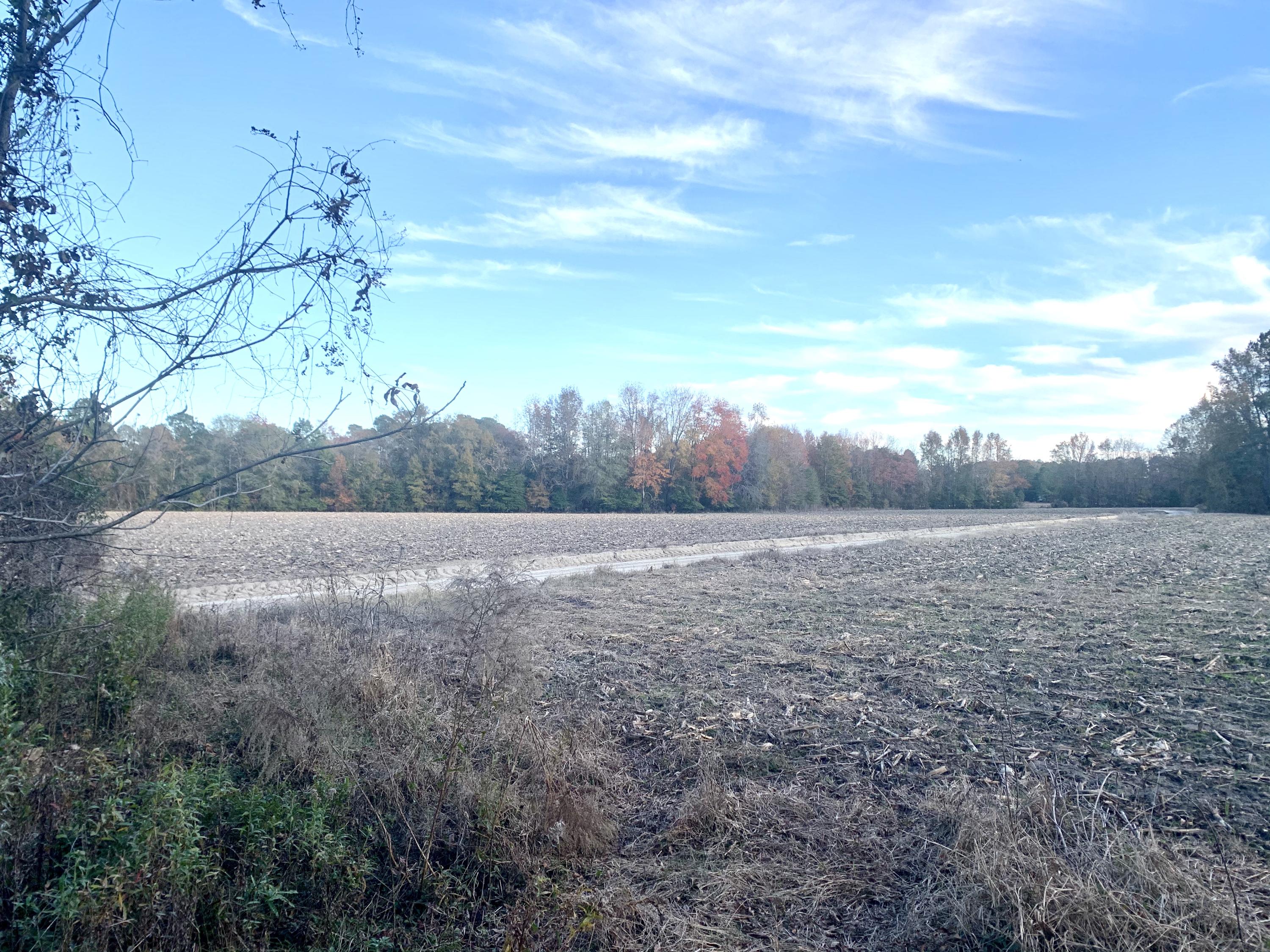 1 Miles Road Cope, SC 29038 - Photo 37 of 42 6A984D11-BFD9-4A4B-9611-3C1EF5D88A4E