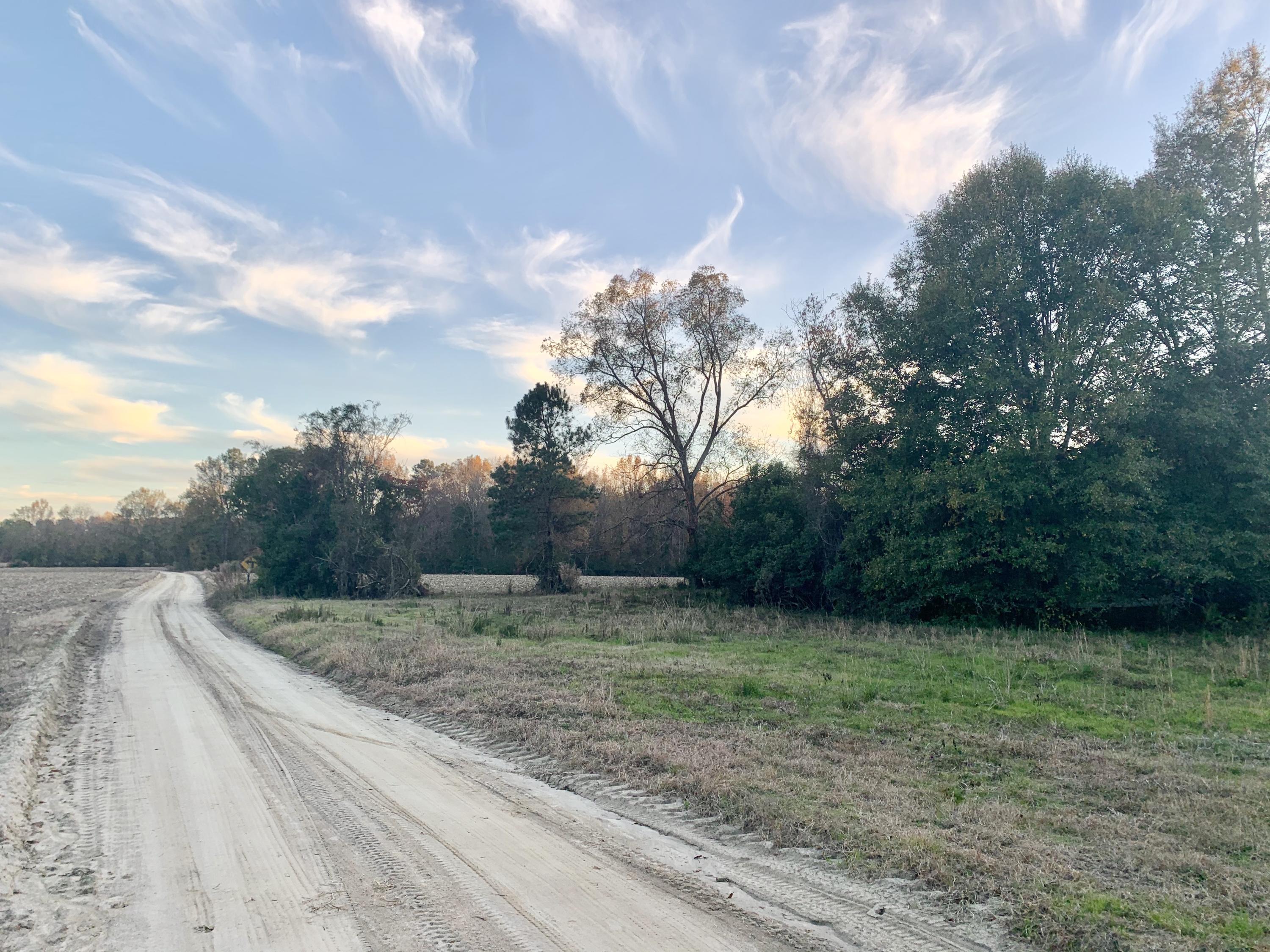 1 Miles Road Cope, SC 29038 - Photo 39 of 42 98C9DBF2-82F0-4D33-A46A-63CA068AE9C4