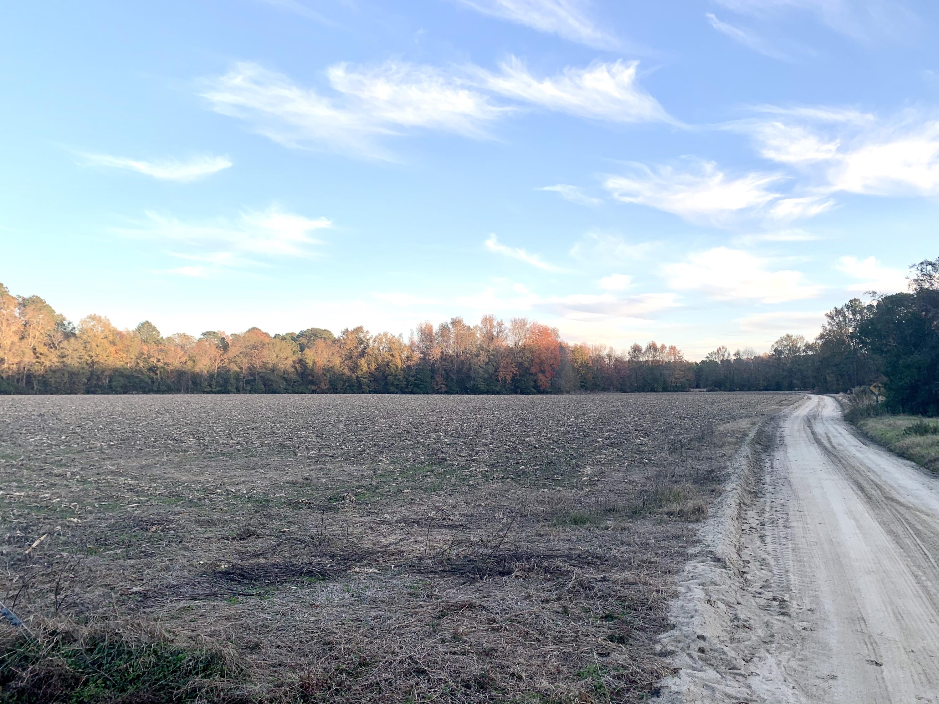 1 Miles Road Cope, SC 29038 - Photo 40 of 42 FEF2A16F-2F03-4290-8306-CDD8EE95C3DE