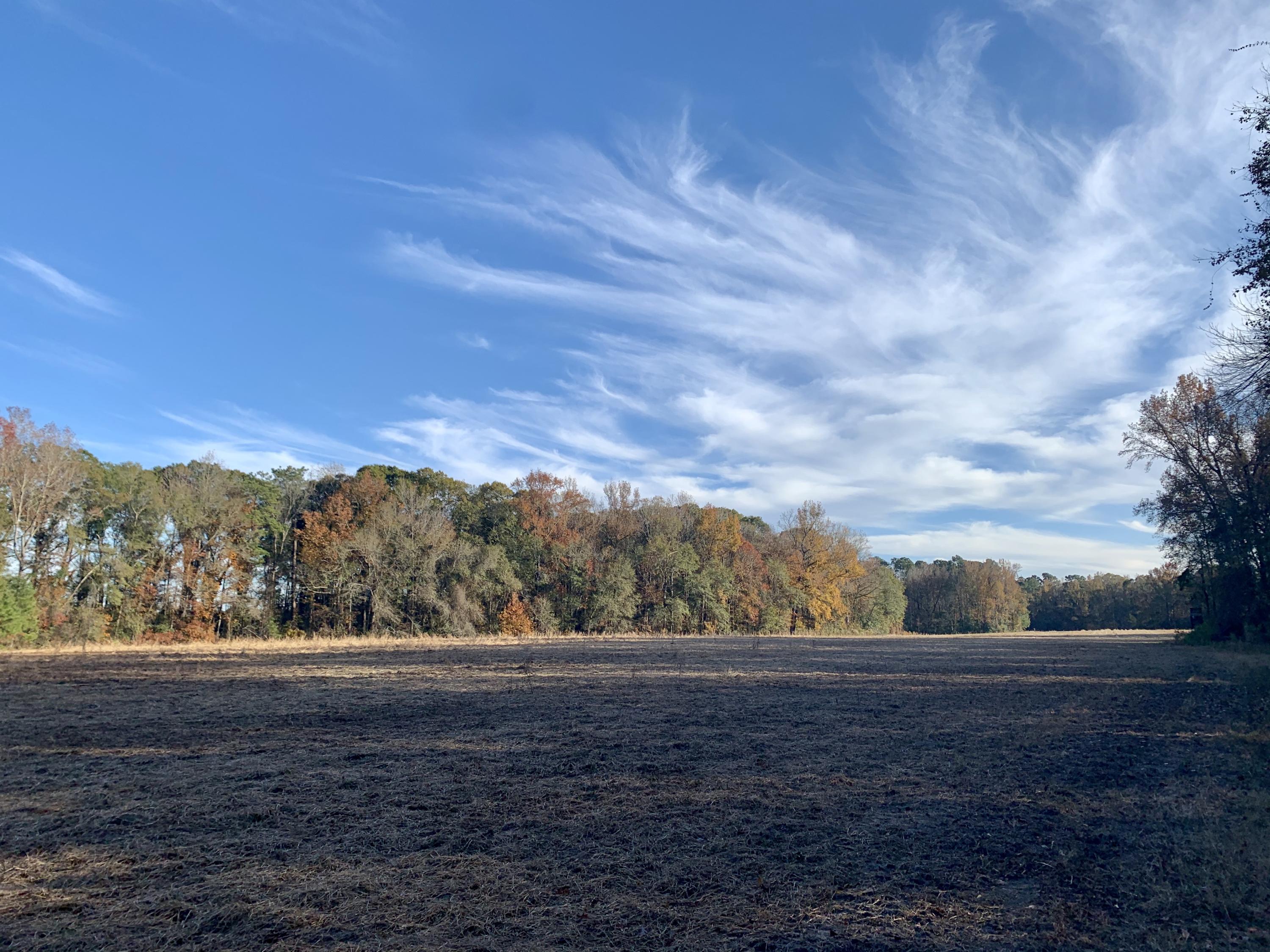 1 Miles Road Cope, SC 29038 - Photo 9 of 42 F3C52BF3-F694-40F1-9B20-1ACDA311C4F3