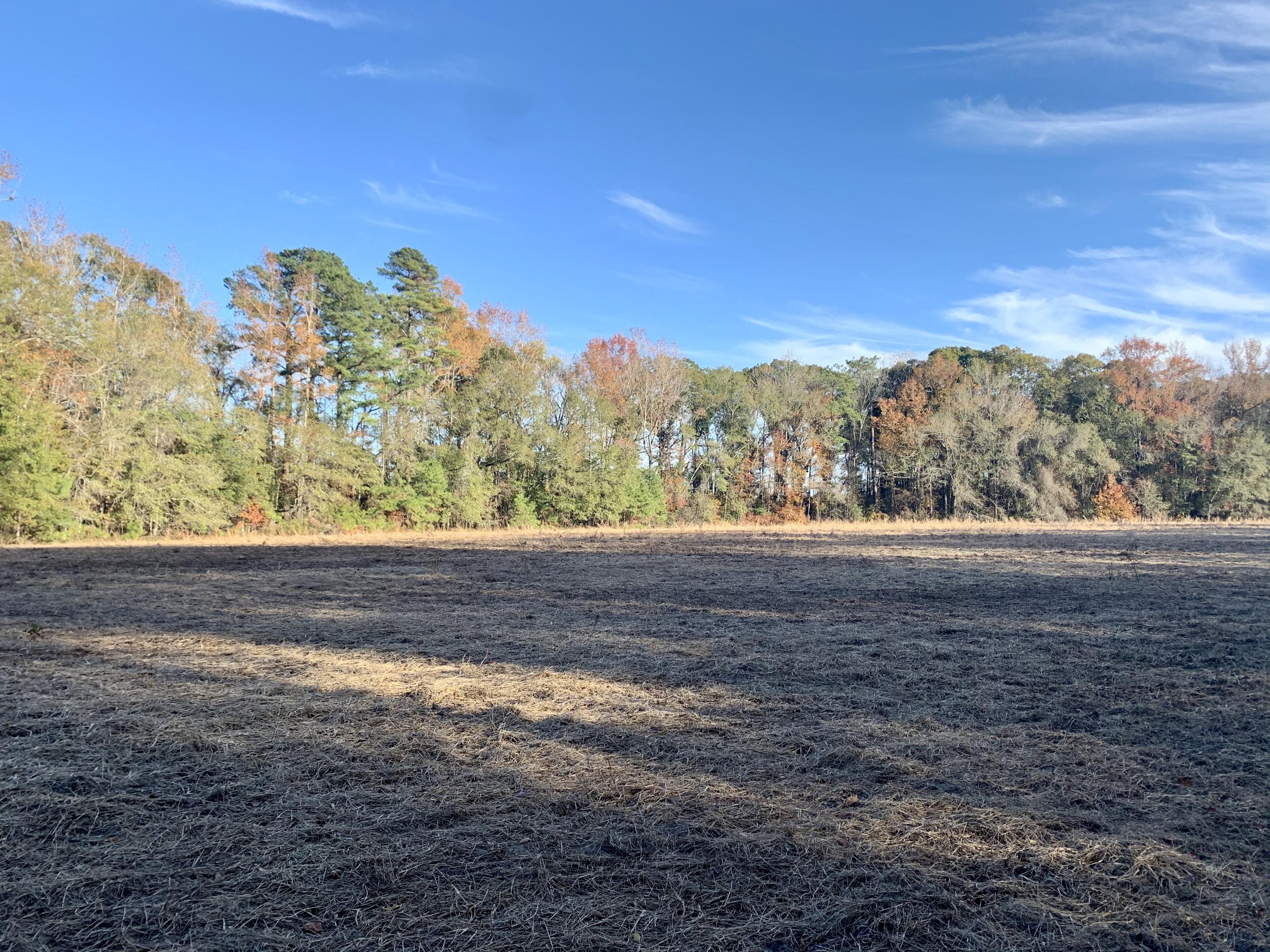 1 Miles Road Cope, SC 29038 - Photo 10 of 42 9EEF96C4-5F6A-438A-8E47-94A3D6940F1E