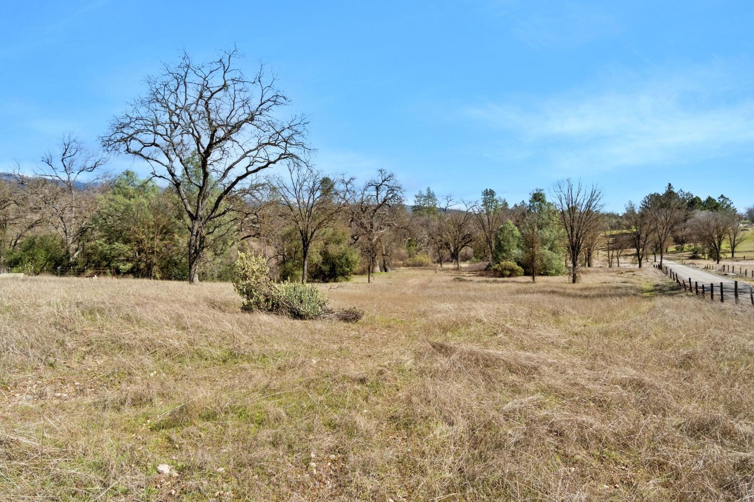 5128 Darrah Road Mariposa, CA 95338 - Photo 7 of 12 a view of outdoor space yard and trees