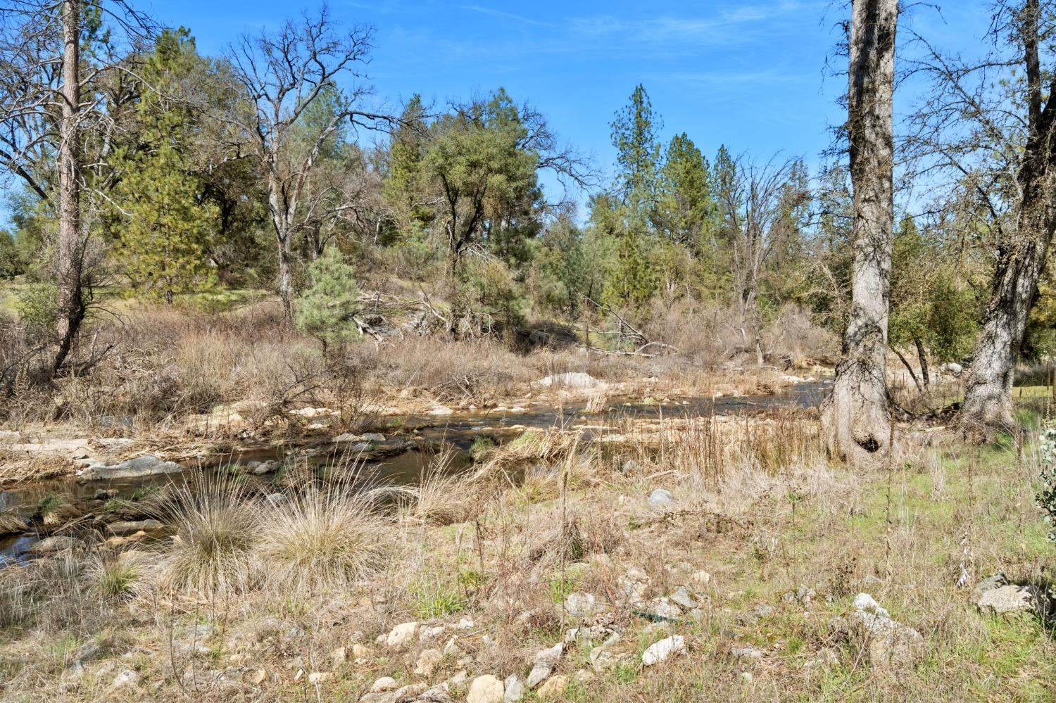 5128 Darrah Road Mariposa, CA 95338 - Photo 10 of 12 a view of a yard of a building