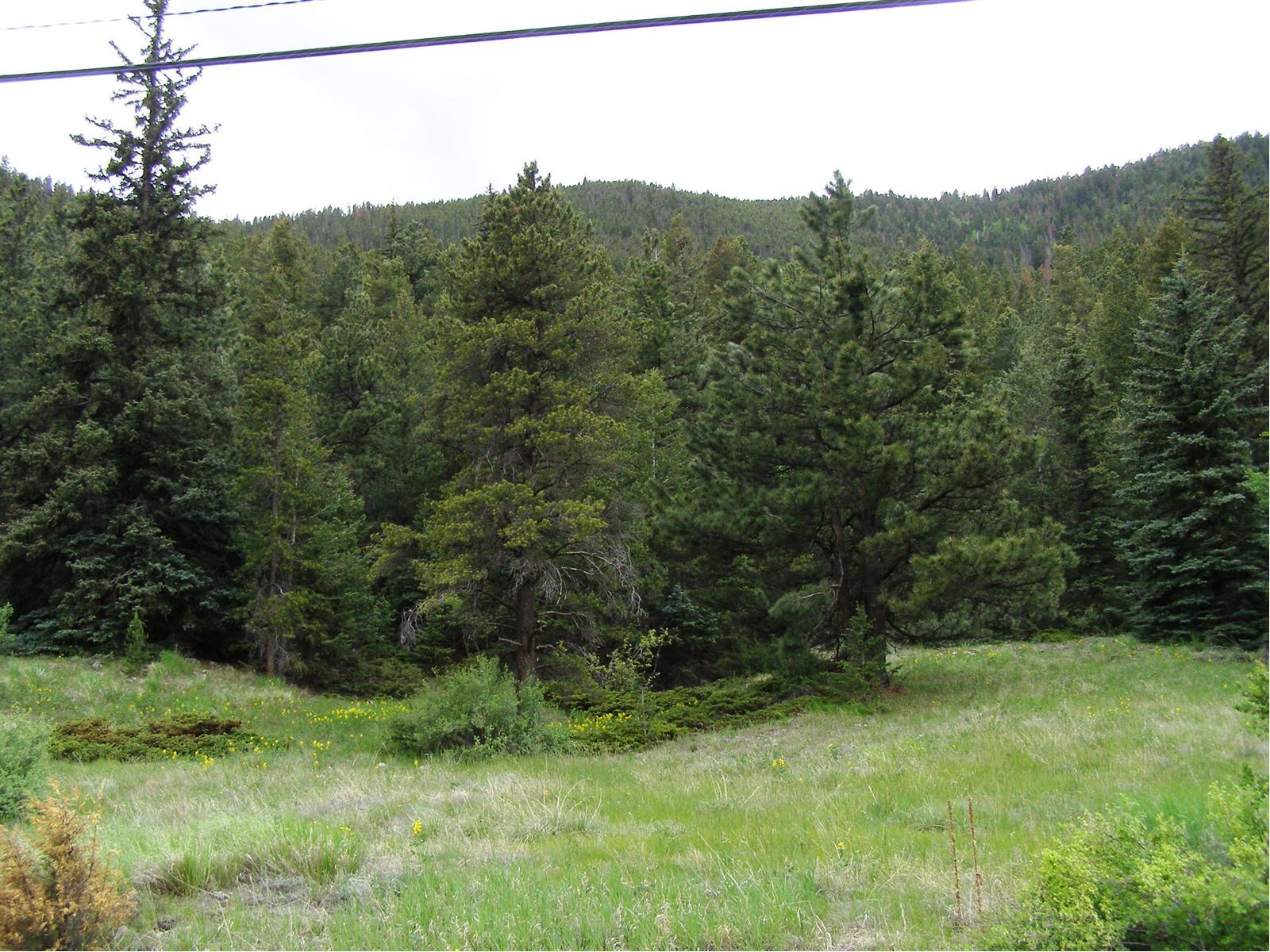 0 Stanley Road Idaho Springs, CO 80452 - Photo 1 of 1 Gallery Image 1