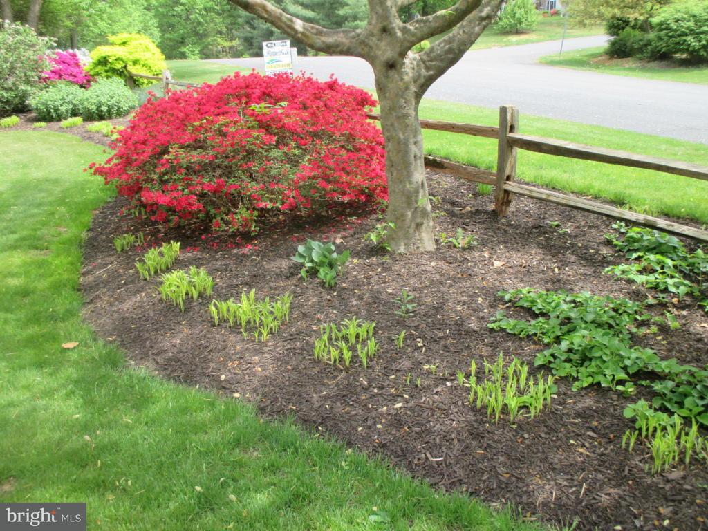 7 Ross Road Denver, PA 17517 - Photo 23 of 73