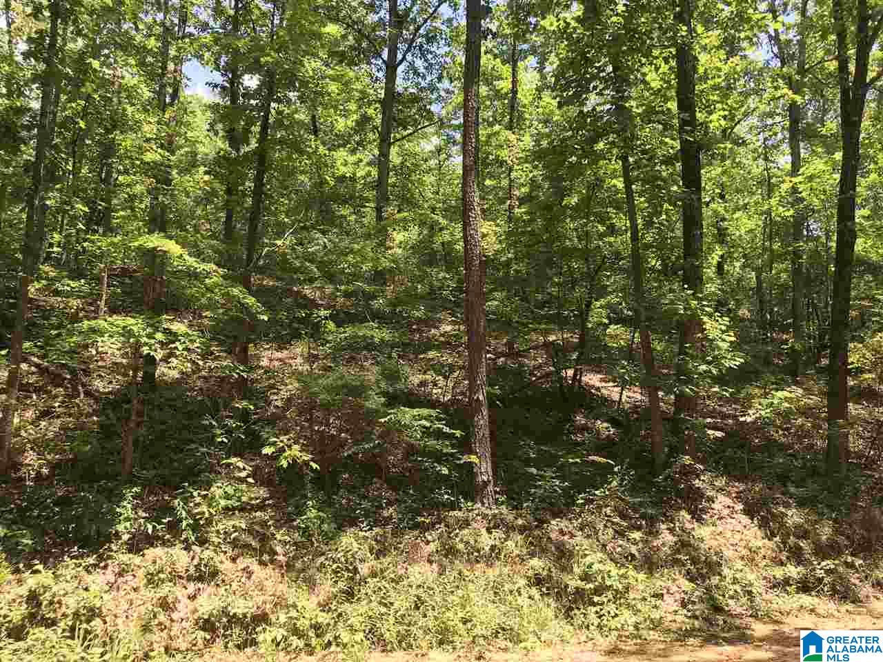 708 County Road, Unit 5 4 Verbena, AL 36091 - Photo 6 of 16