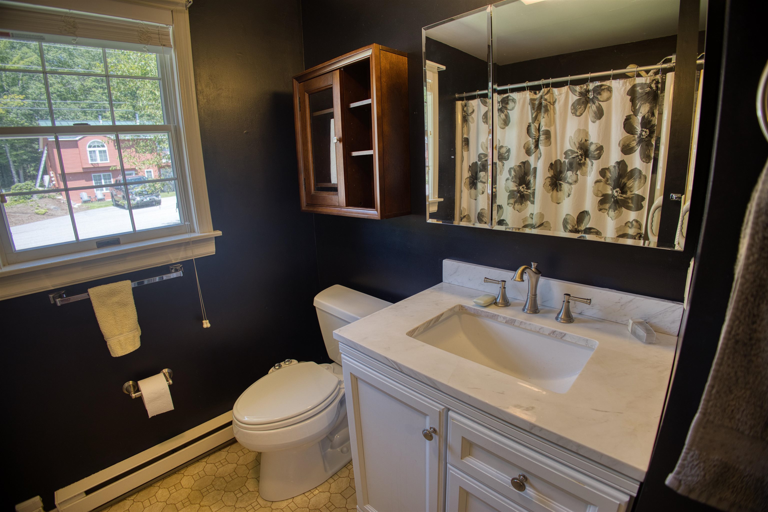 118 Washington Road, Unit 55 Freedom, NH 03836 - Photo 22 of 38