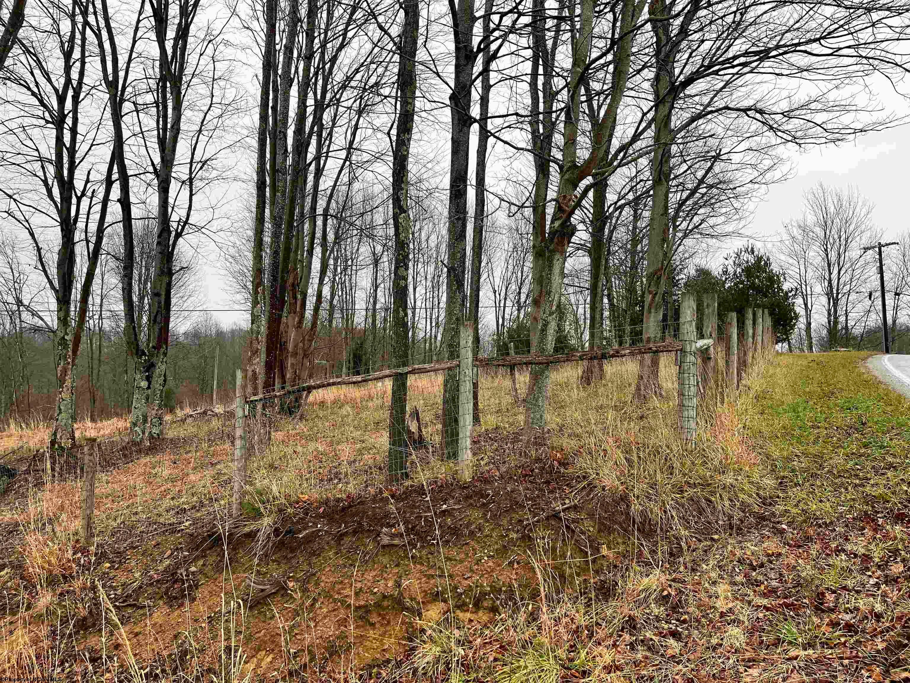 9179 Alexander Road French Creek, WV 26218 - Photo 31 of 50 Gallery Image 31
