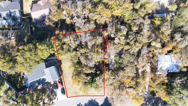 a picture of flowers