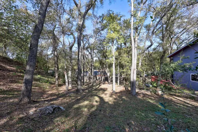 a view of backyard with green space