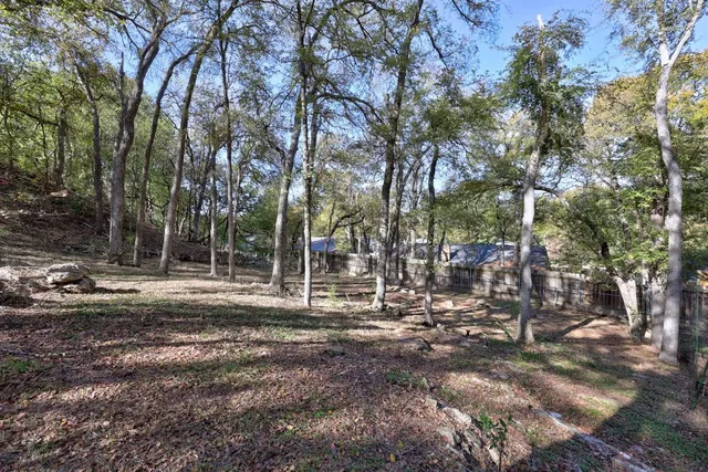 a view of a park that has large trees